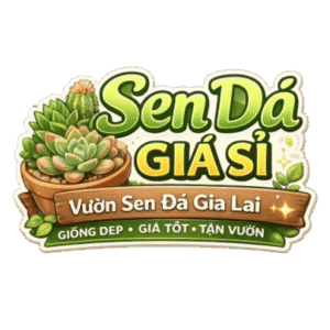 logo sen đá giá sỉ