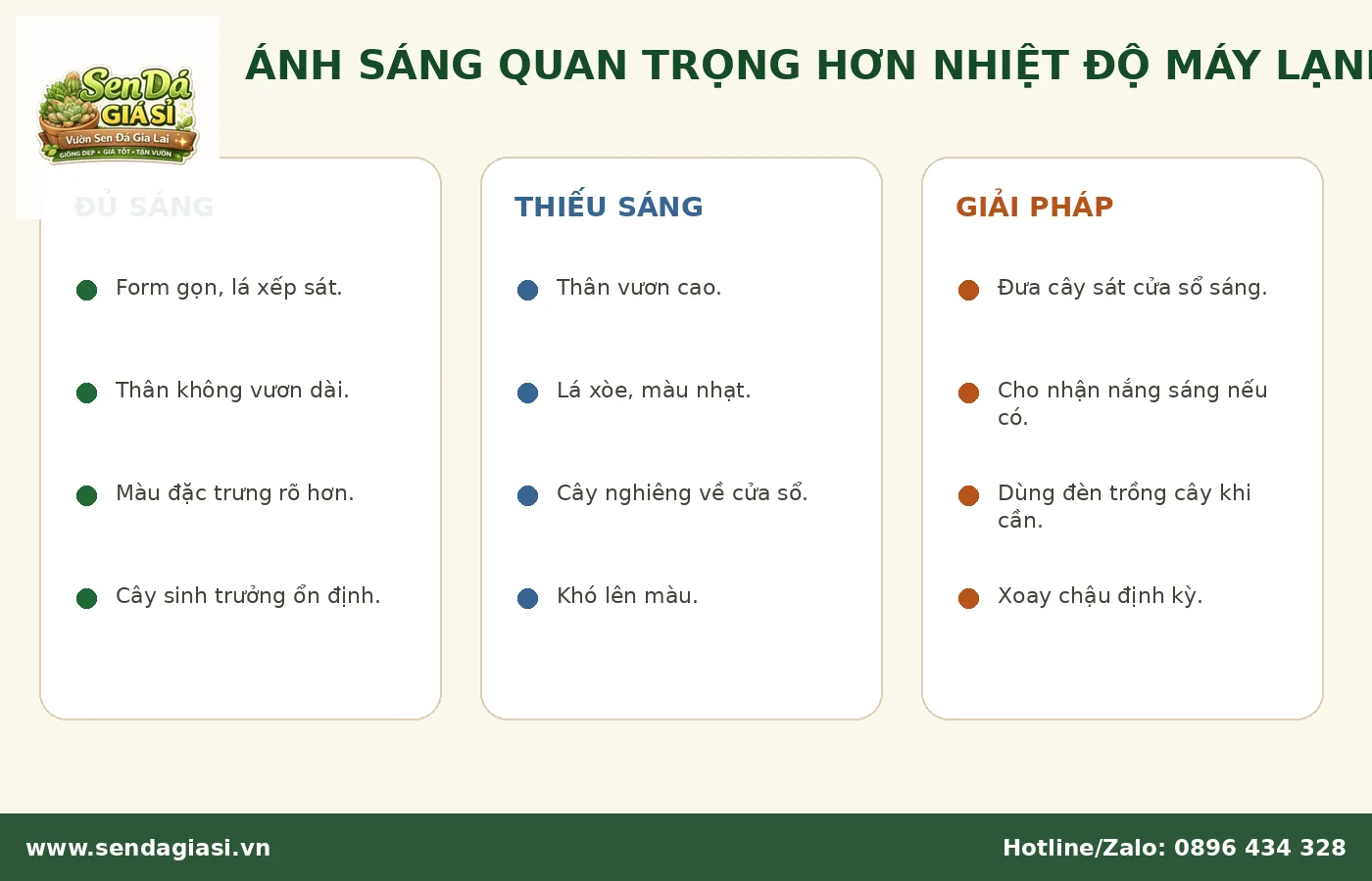 Ánh sáng phù hợp cho sen đá khi đặt trong phòng máy lạnh