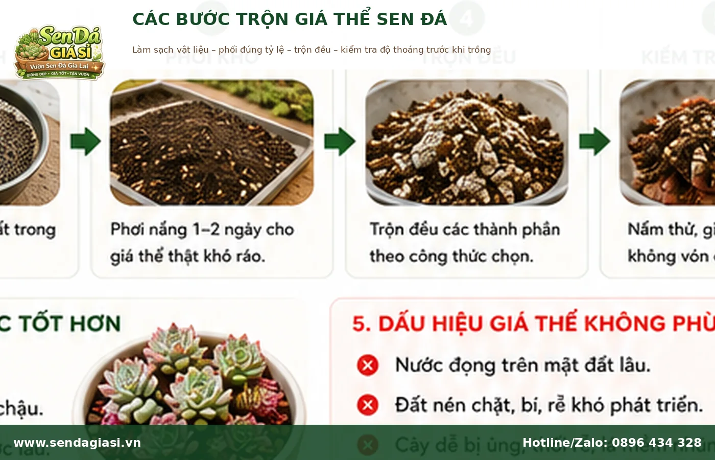 Các bước trộn giá thể sen đá đúng cách trước khi trồng