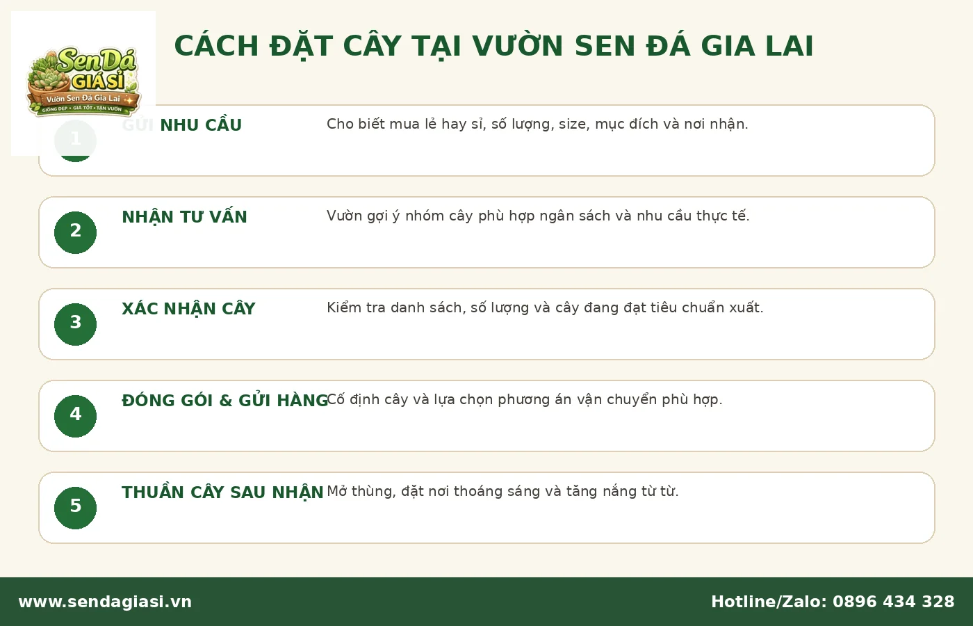 Cách đặt cây tại Vườn Sen Đá Gia Lai