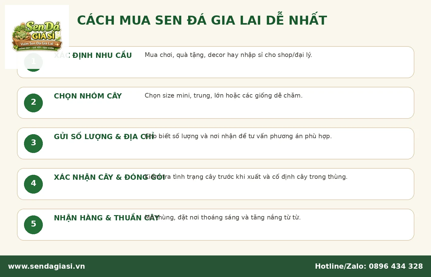 Cách mua sen đá Gia Lai cho khách lẻ shop và đại lý
