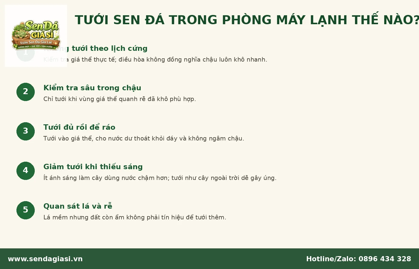 Cách tưới sen đá trong phòng máy lạnh dựa trên độ khô của giá thể