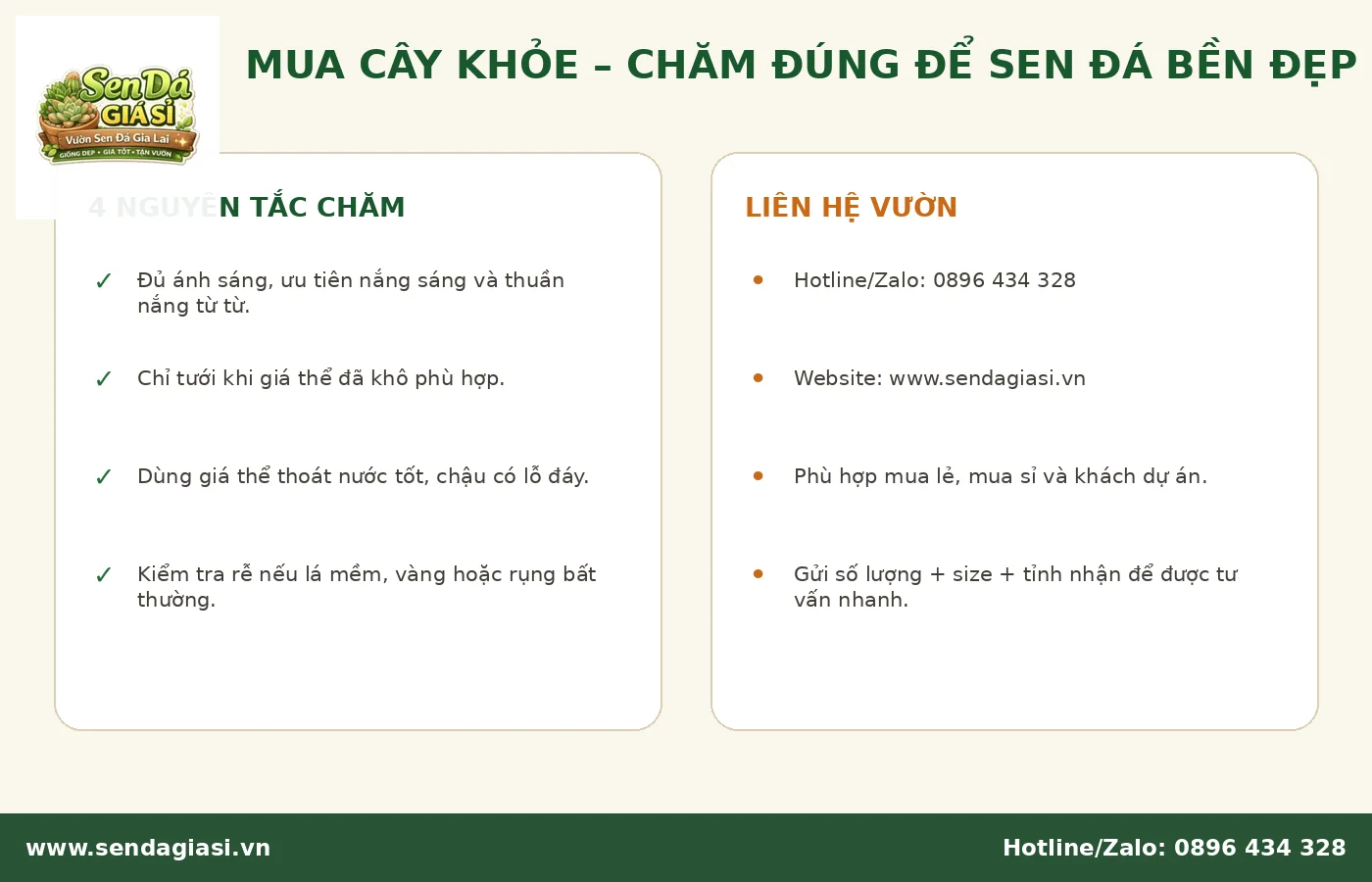 Cách chăm sen đá Gia Lai và liên hệ Vườn Sen Đá Gia Lai