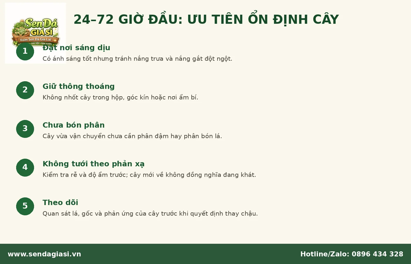Chăm sóc sen đá trong 24 đến 72 giờ đầu sau khi mới mua về
