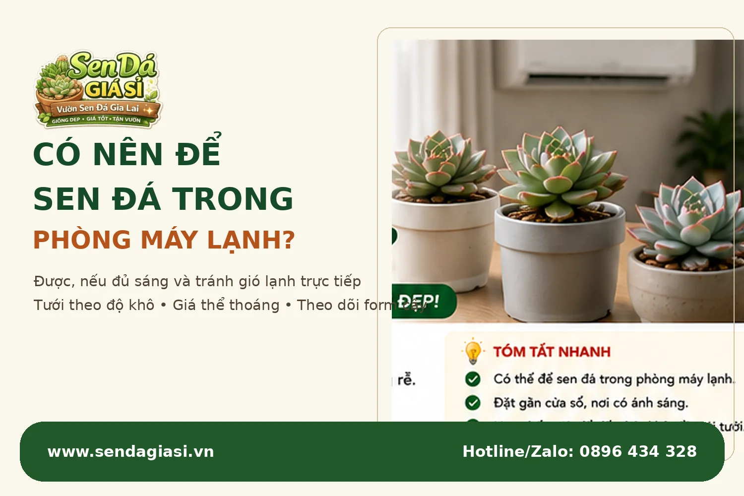 Có nên để sen đá trong phòng máy lạnh hướng dẫn chăm đúng cách