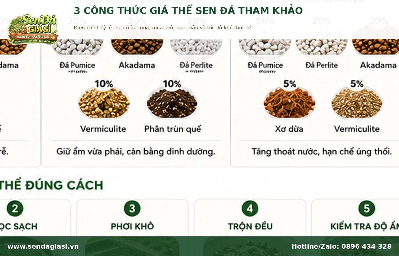 Công thức giá thể sen đá thoát nước tốt theo điều kiện khí hậu
