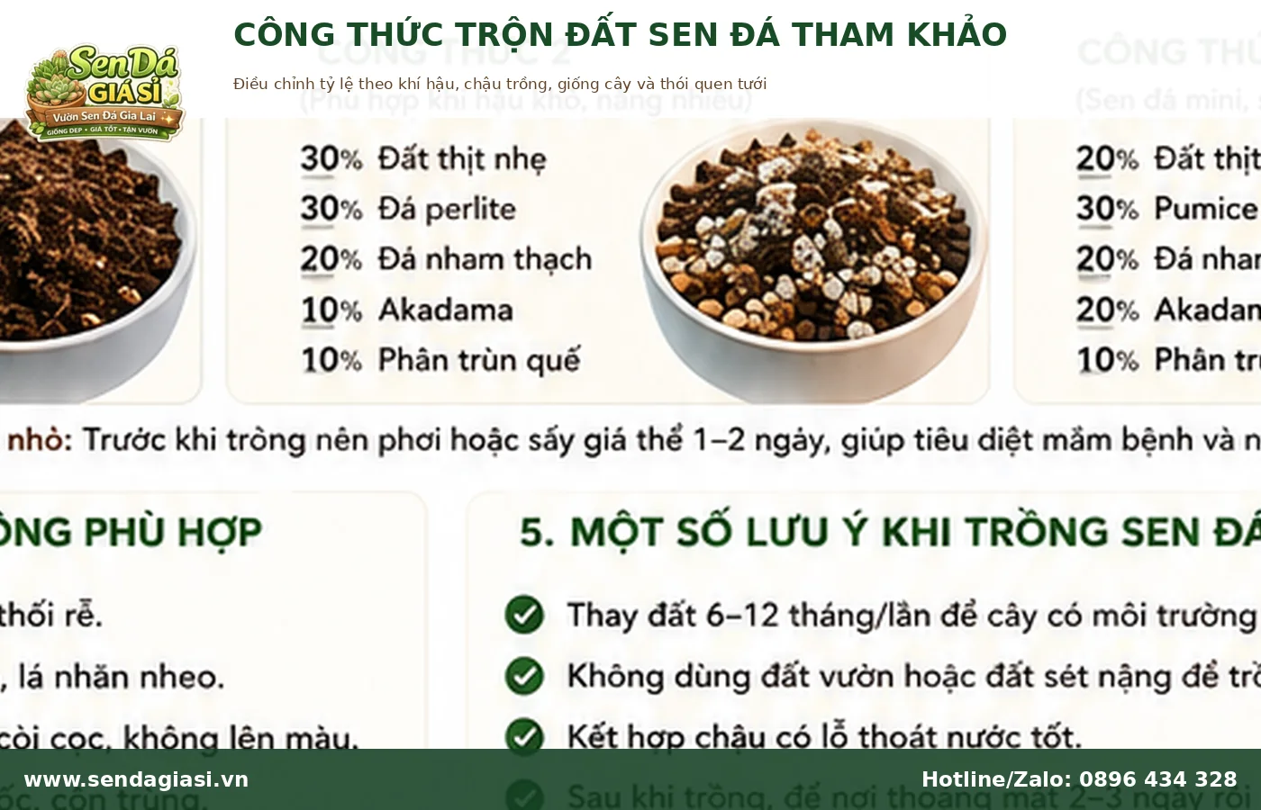 Công thức trộn đất trồng sen đá tham khảo theo điều kiện khí hậu
