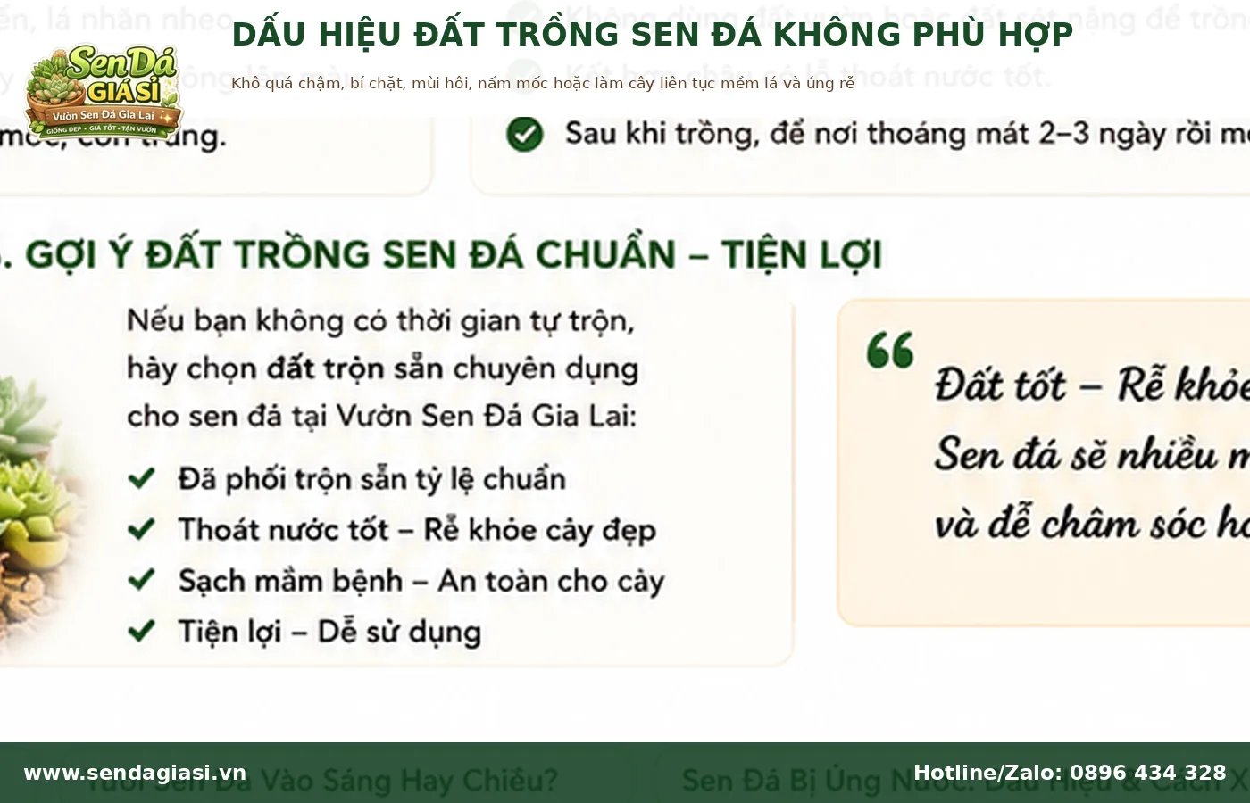 Dấu hiệu đất trồng sen đá không phù hợp giữ nước lâu và gây úng rễ