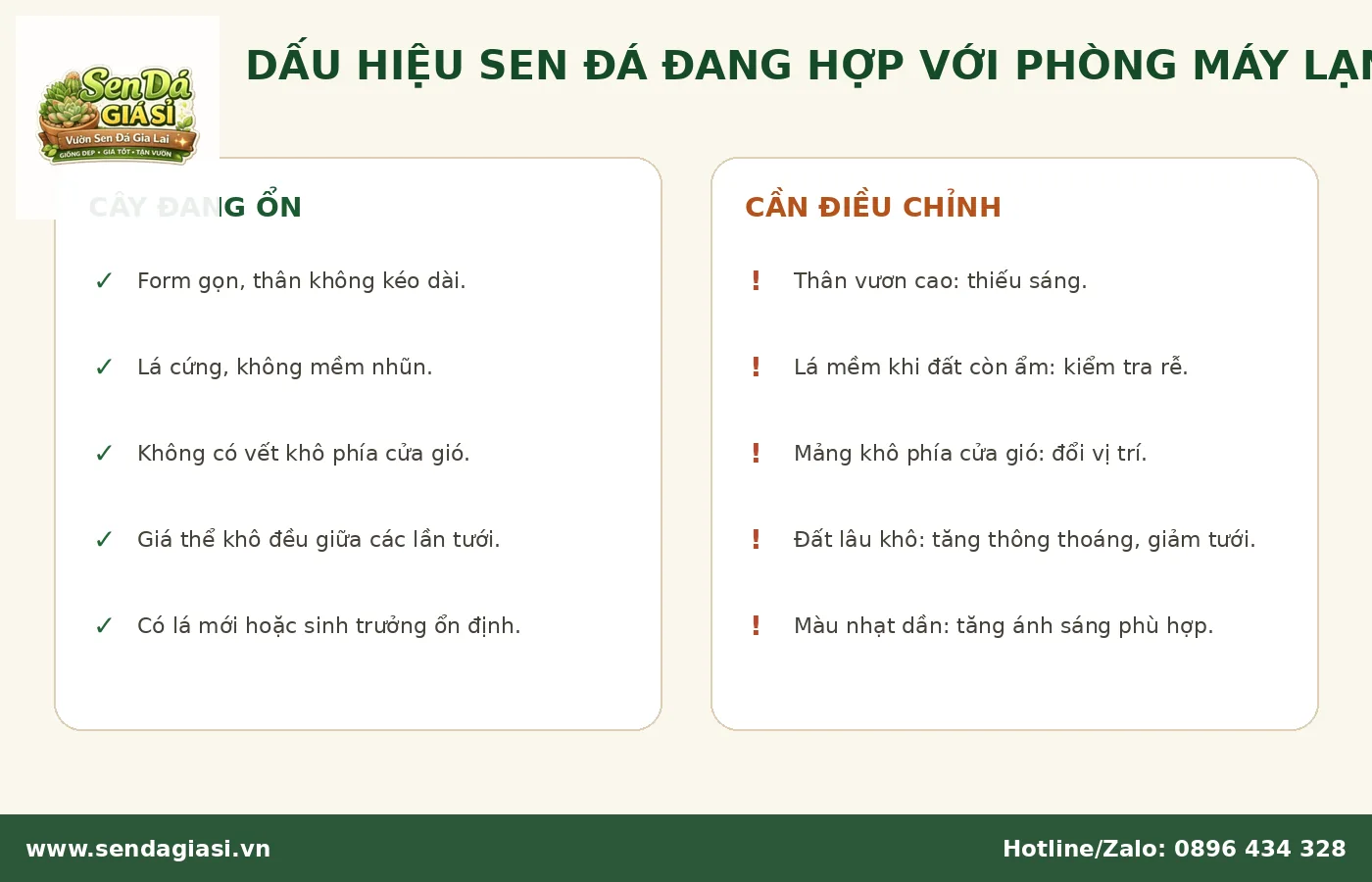 Dấu hiệu sen đá thích nghi tốt hoặc gặp vấn đề trong phòng máy lạnh