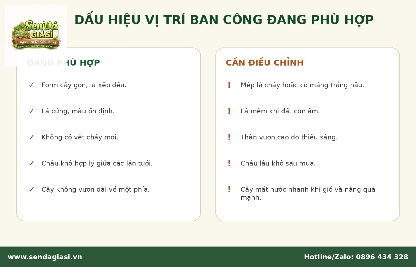 Dấu hiệu sen đá thích nghi tốt hoặc cần điều chỉnh vị trí ban công