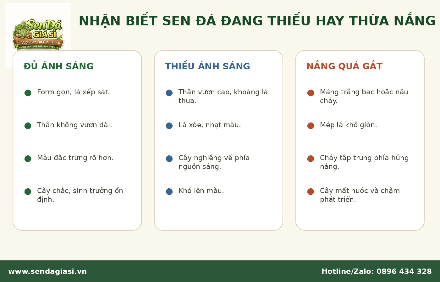 Dấu hiệu sen đá thiếu nắng hoặc bị cháy nắng do ánh sáng quá mạnh