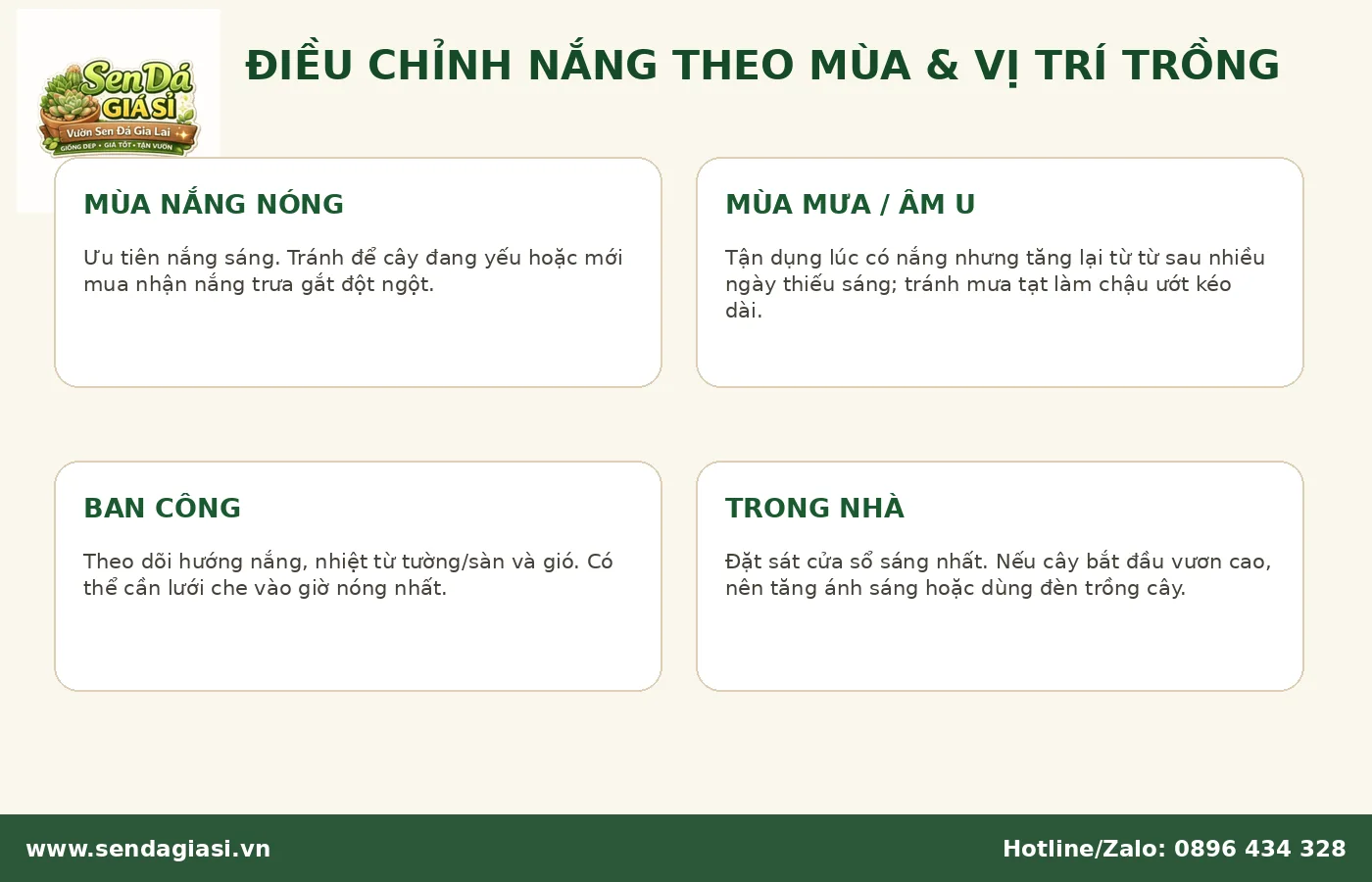 Điều chỉnh thời gian nắng cho sen đá theo mùa và vị trí trồng