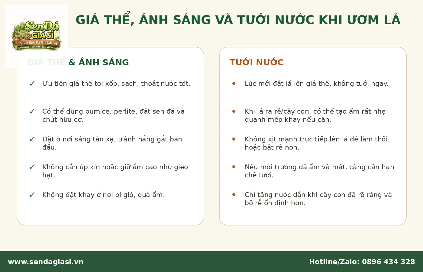 Giá thể ánh sáng và tưới nước khi ươm lá sen đá