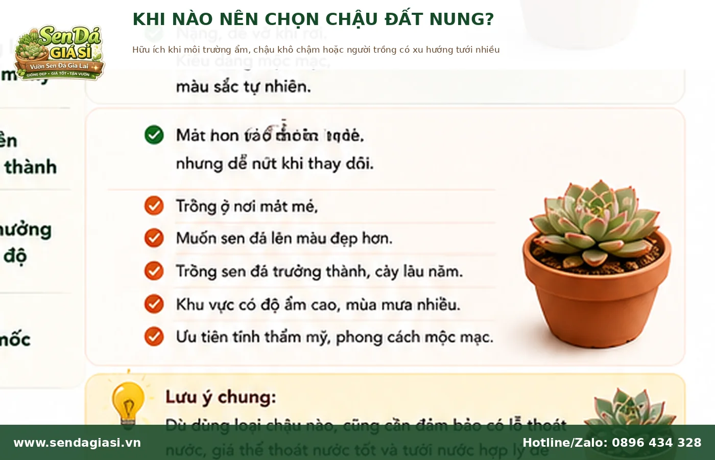 Khi nào nên dùng chậu đất nung cho sen đá để chậu khô nhanh hơn