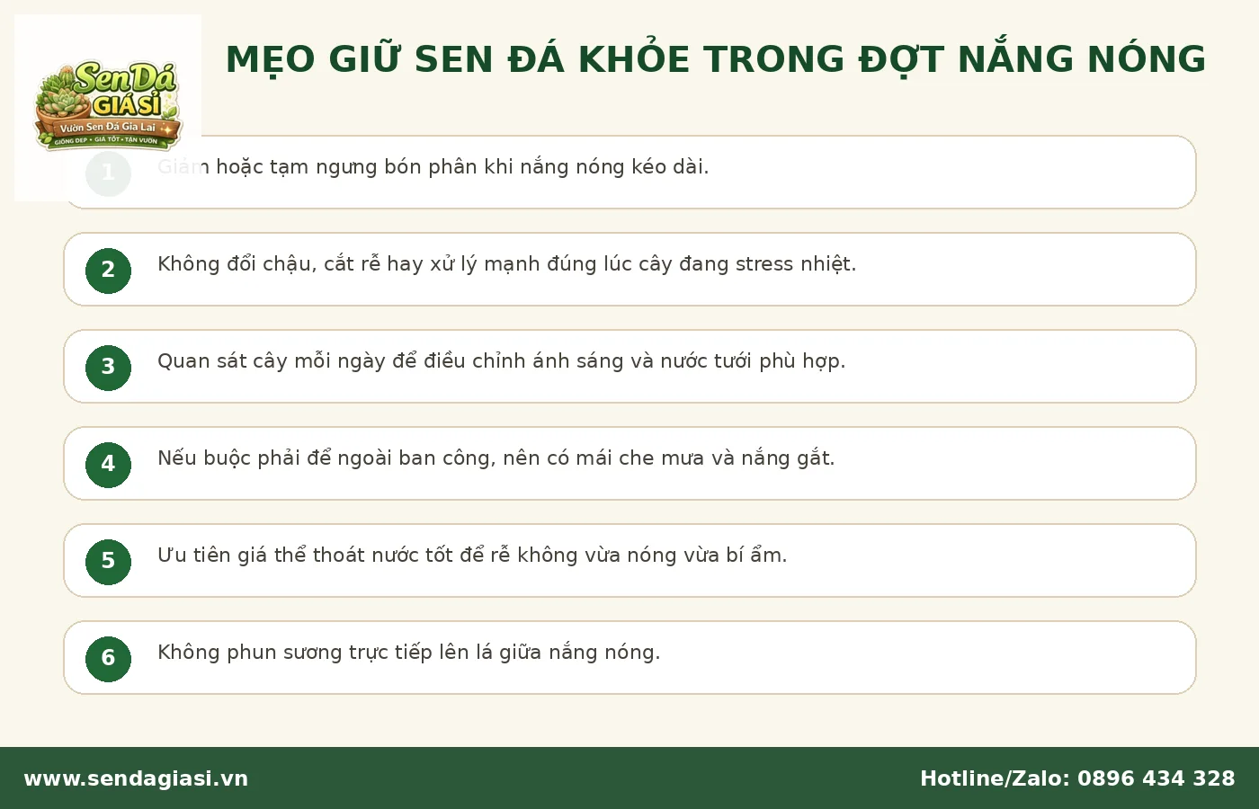 Mẹo giữ sen đá khỏe đẹp trong những ngày nắng nóng kéo dài