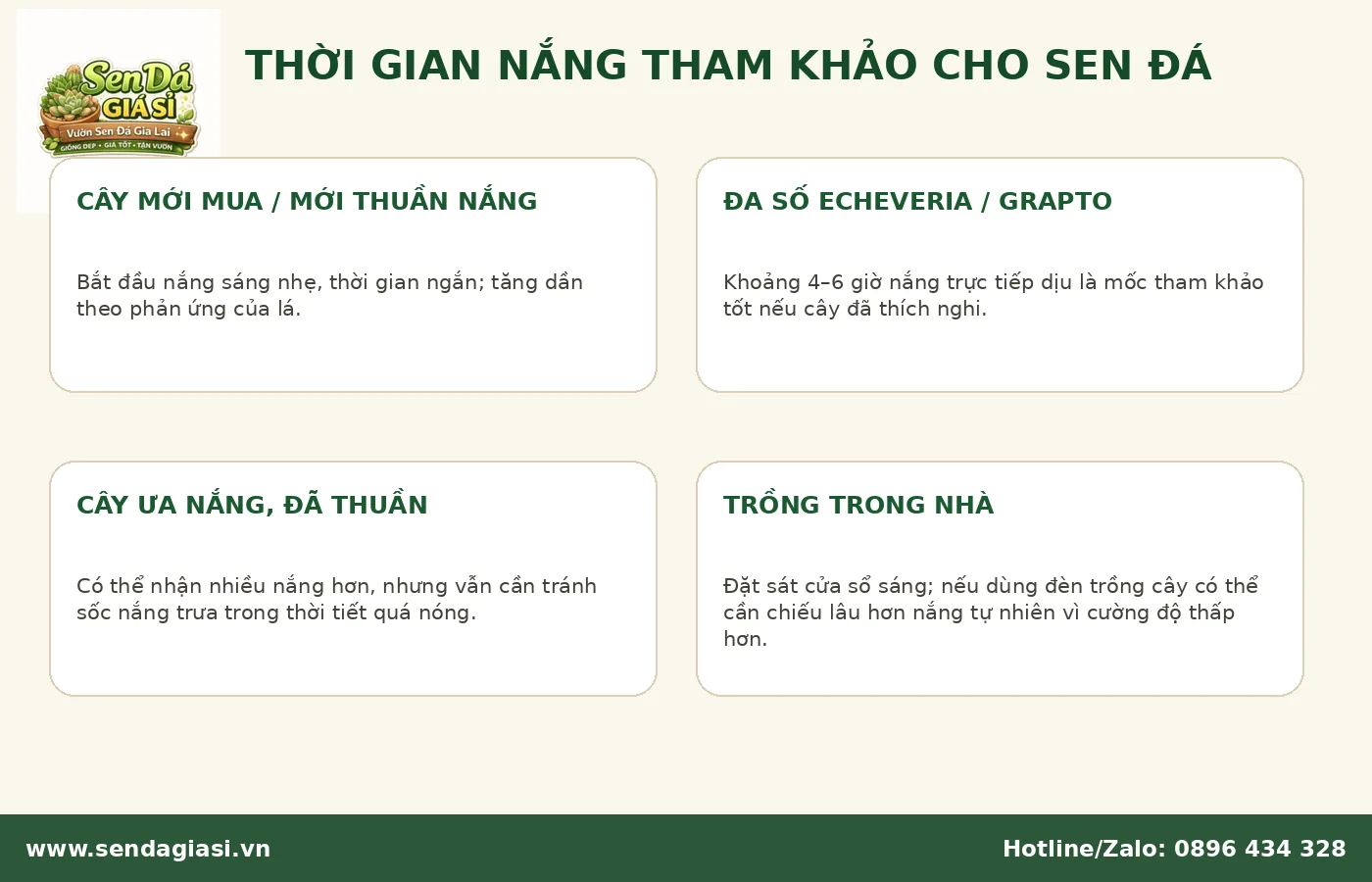 Sen đá bao nhiêu giờ nắng là đủ theo tình trạng cây và môi trường