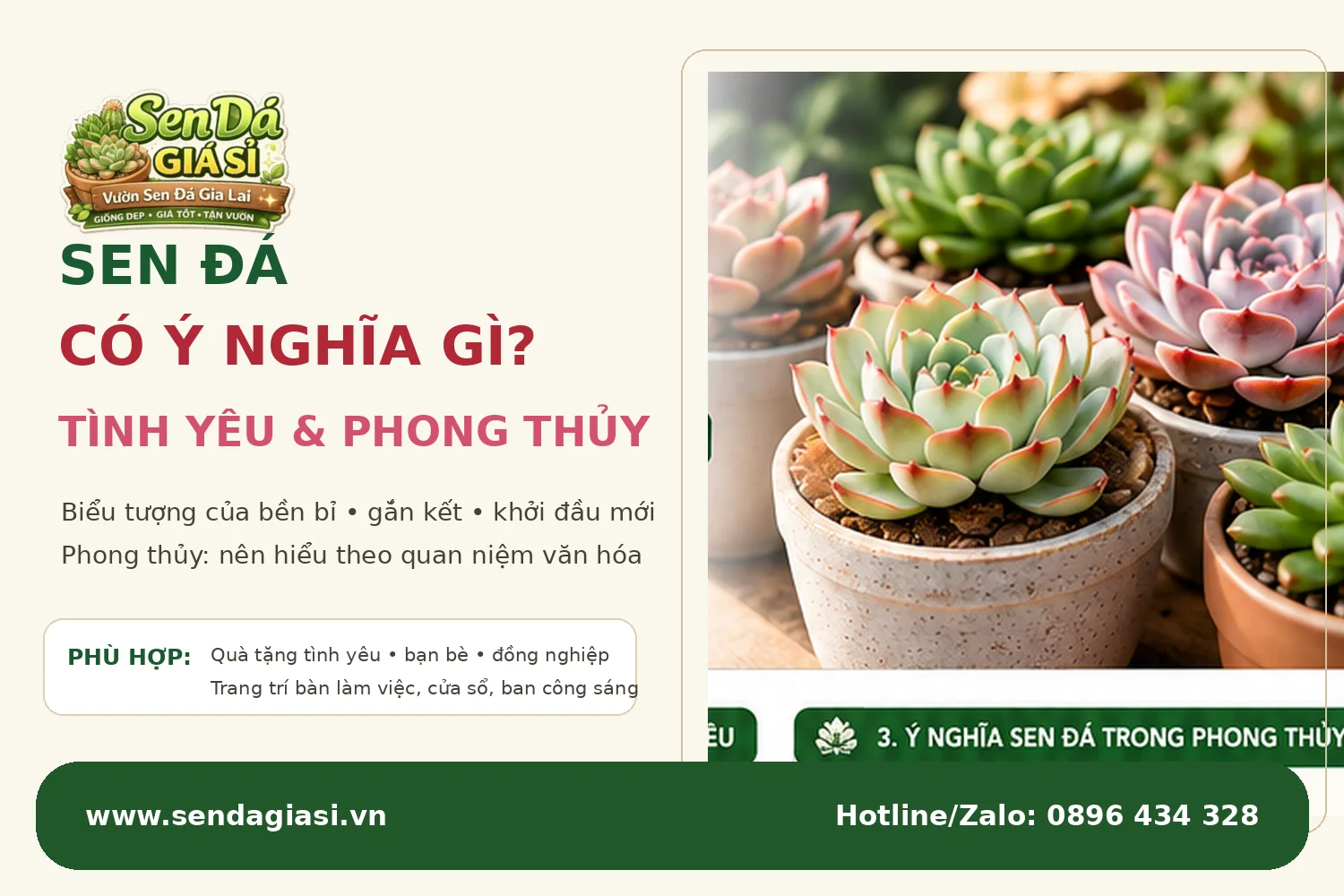 Sen đá có ý nghĩa gì trong tình yêu và phong thủy