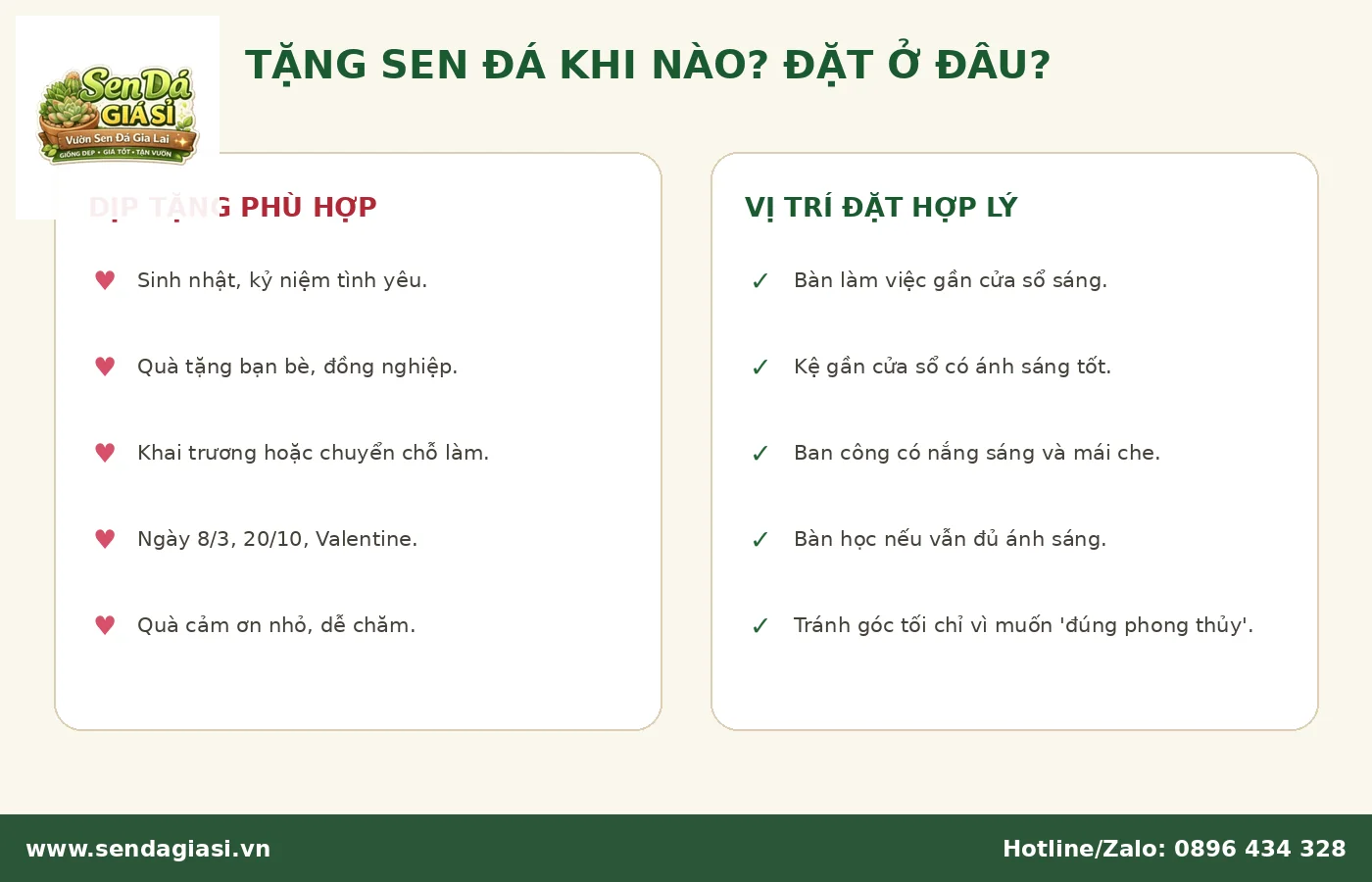 Tặng sen đá khi nào và đặt sen đá ở đâu phù hợp