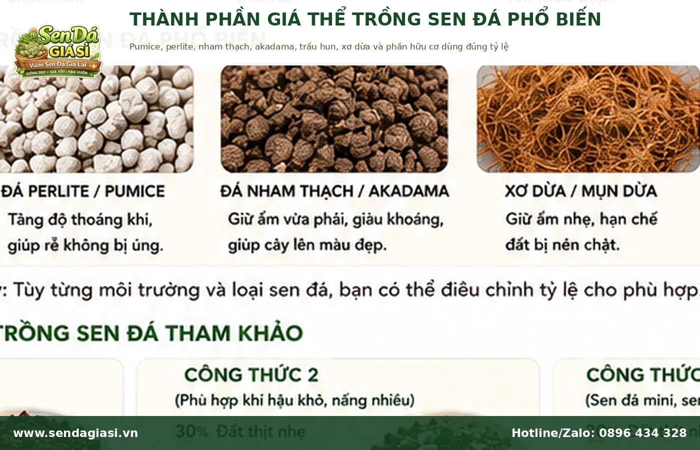Thành phần giá thể trồng sen đá gồm pumice perlite nham thạch trấu hun và hữu cơ