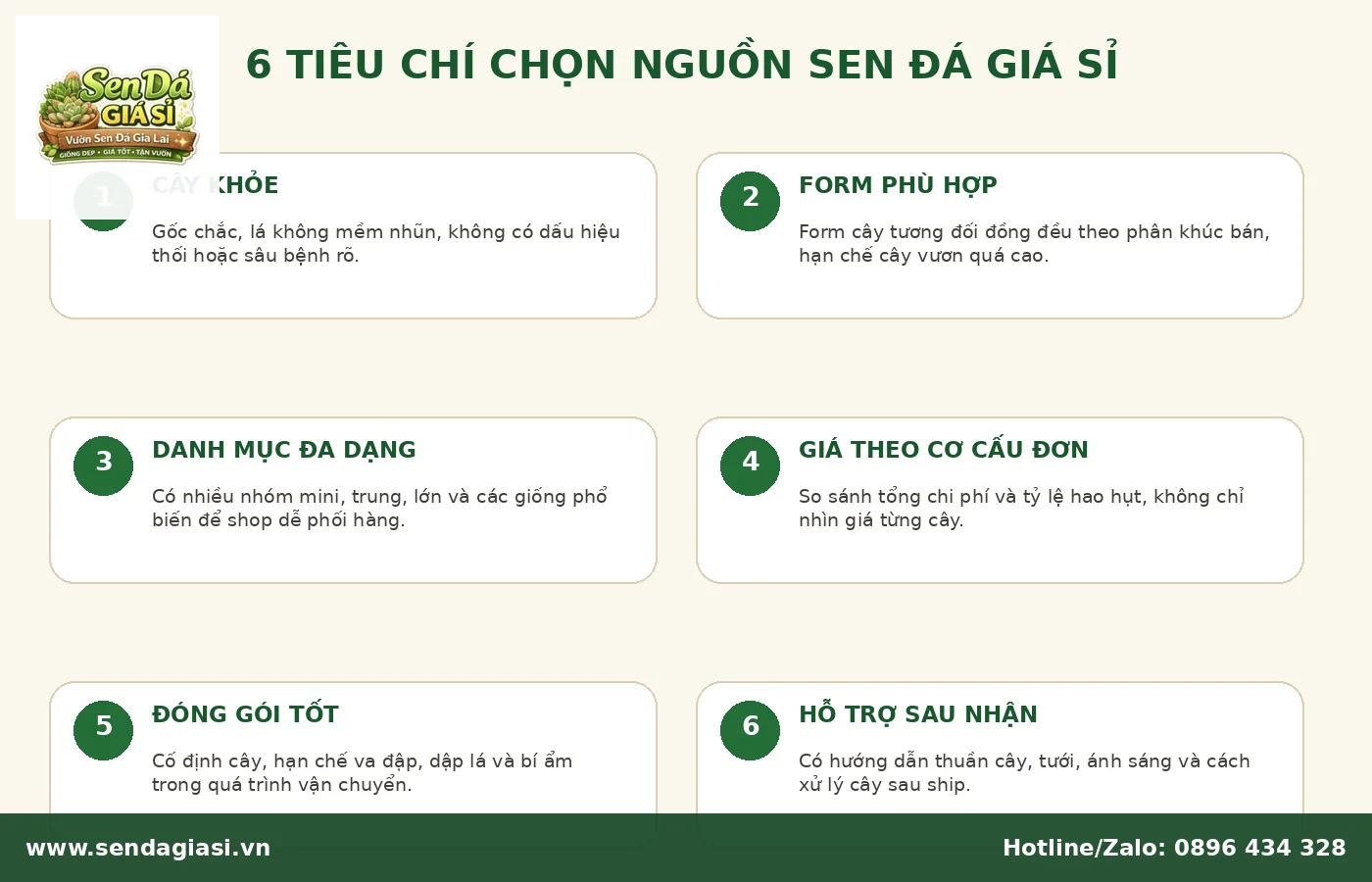 Tiêu chí chọn nguồn sen đá giá sỉ chất lượng cho shop