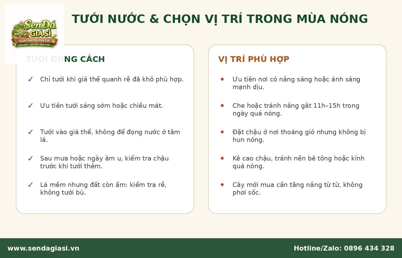 Tưới nước và chọn vị trí phù hợp cho sen đá trong mùa nắng nóng