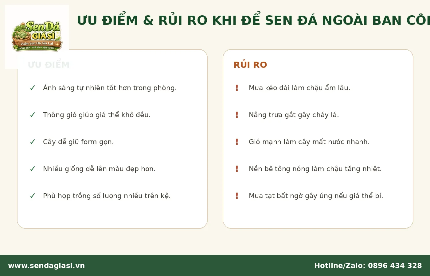 Ưu điểm và rủi ro khi để sen đá ngoài ban công