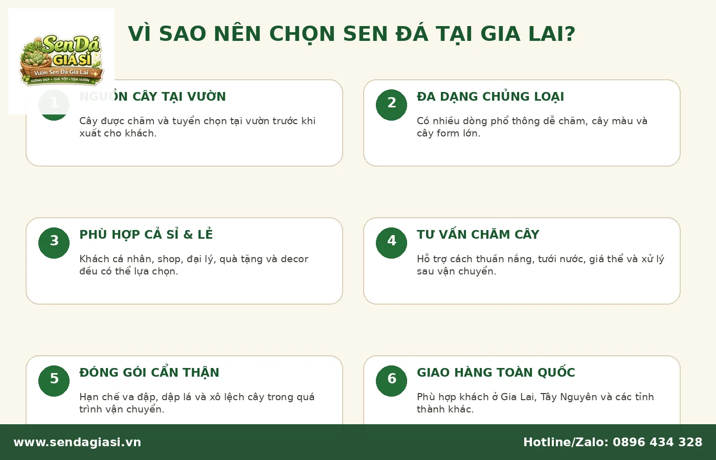 Vì sao nên chọn sen đá Gia Lai tại nguồn vườn