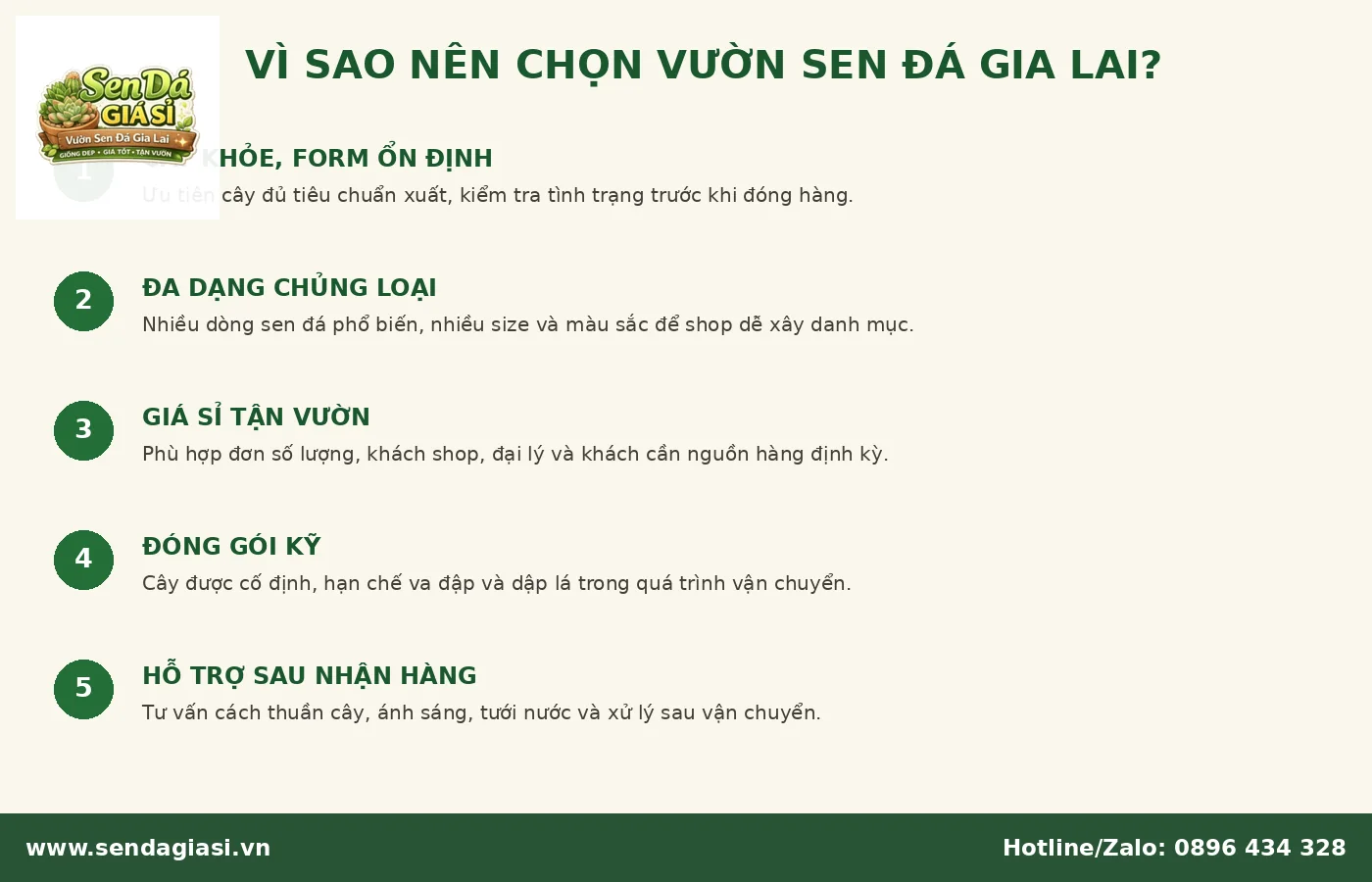 Vì sao nên chọn Vườn Sen Đá Gia Lai làm nguồn sen đá giá sỉ