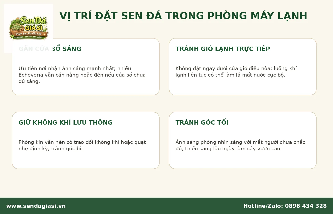 Vị trí đặt sen đá trong phòng máy lạnh gần cửa sổ và tránh gió lạnh trực tiếp