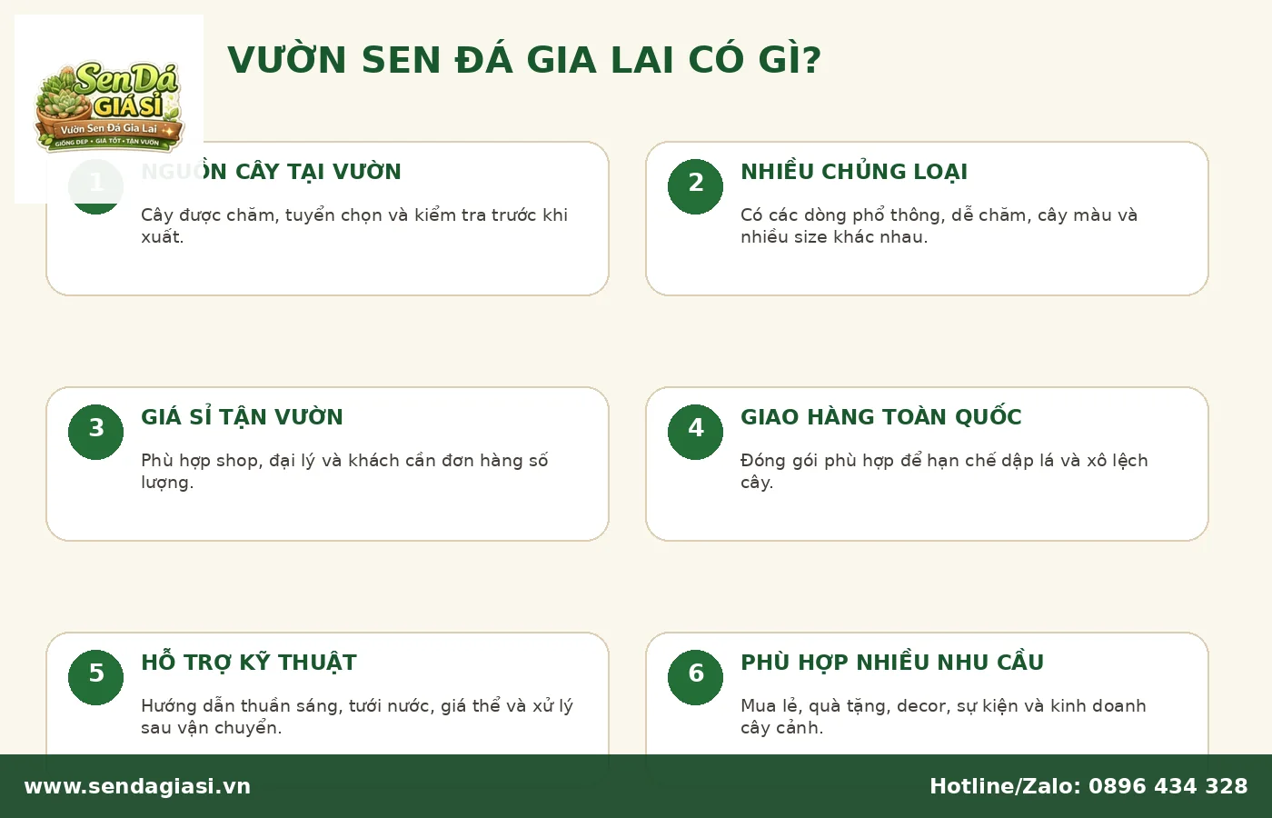 Vườn Sen Đá Gia Lai có gì nổi bật cho khách mua lẻ và mua sỉ