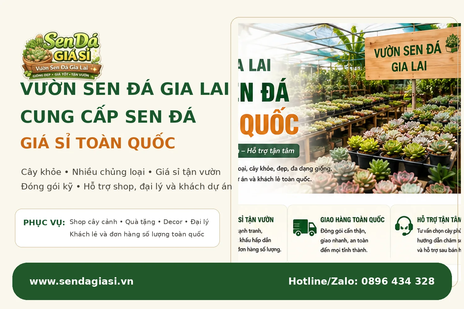 Vườn Sen Đá Gia Lai cung cấp sen đá giá sỉ toàn quốc