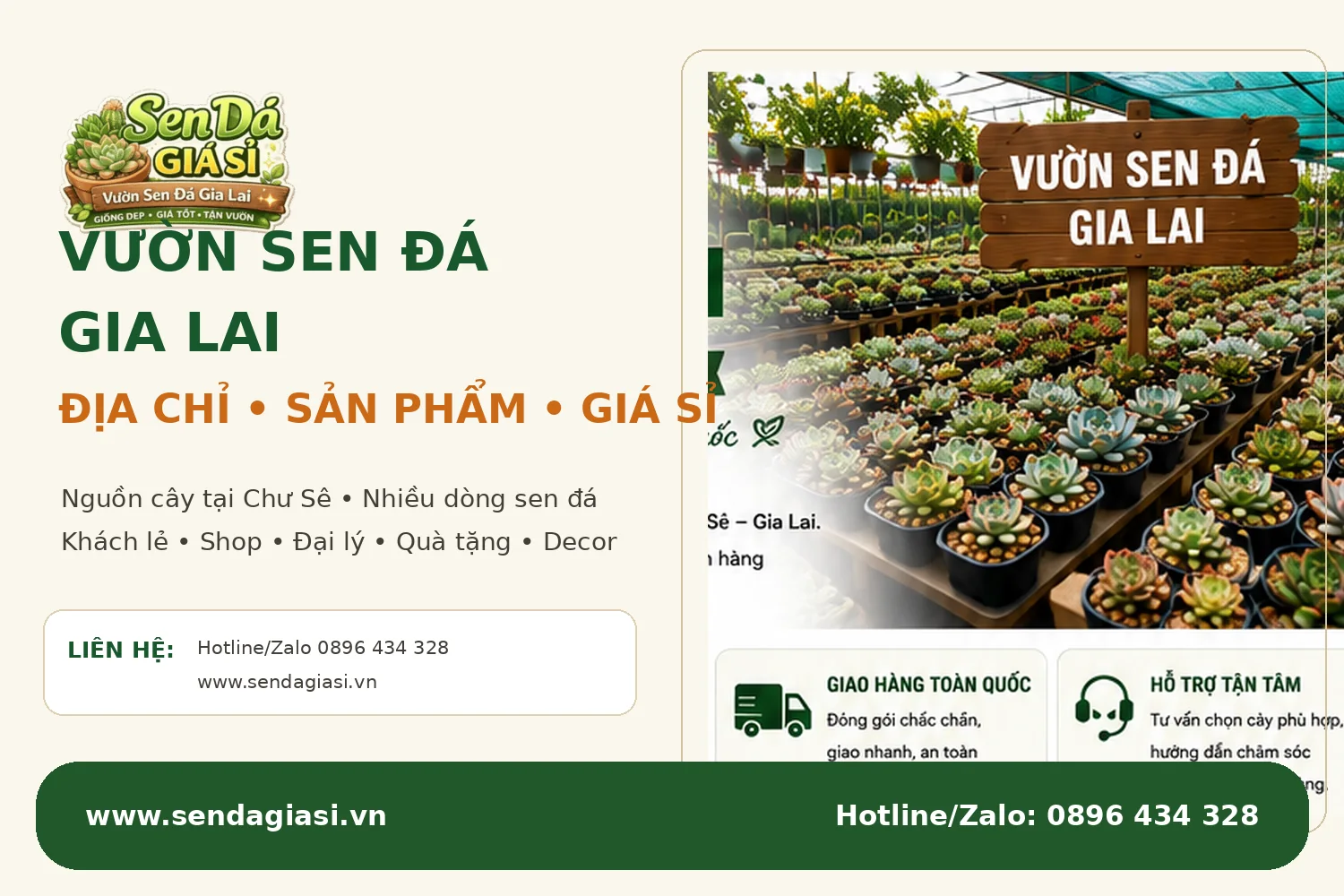 Vườn Sen Đá Gia Lai địa chỉ sản phẩm giá sỉ và cách đặt hàng