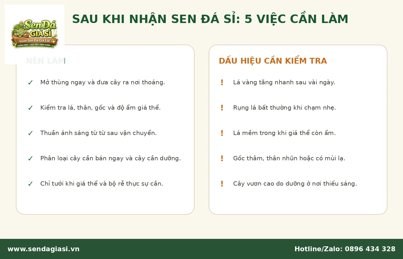 Cách xử lý sen đá giá sỉ sau khi nhận hàng
